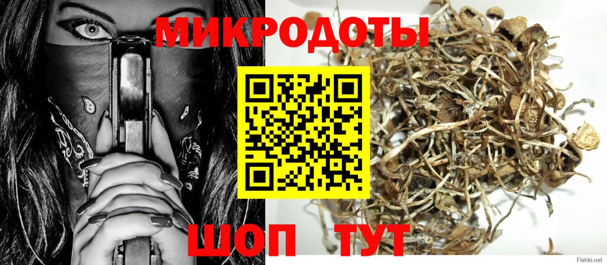 Галлюциногенные грибы MAGIC MUSHROOMS Красногорск